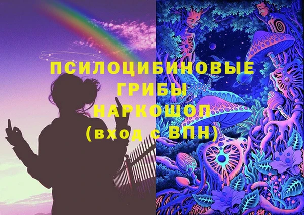 винт Богданович